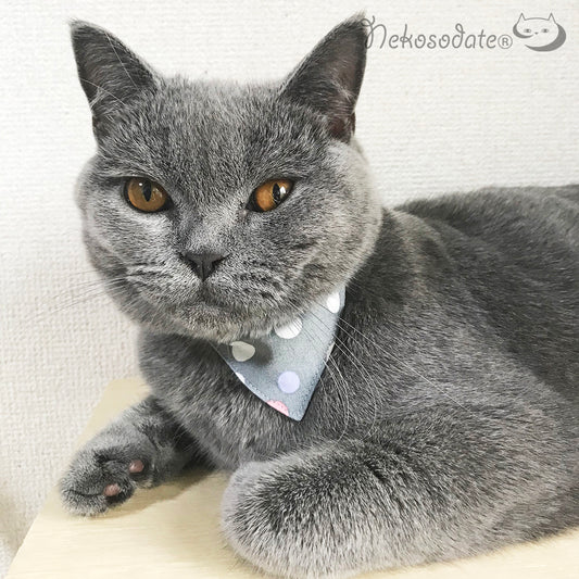 [Ramune dot pattern gray] Serious collar, conspicuous bandana style / selectable adjuster cat collar