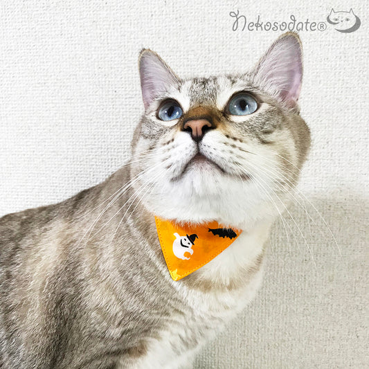 [Happy Halloween Pattern Orange] Serious Collar / Conspicuous Bandana Style / Selectable Adjuster Cat Collar