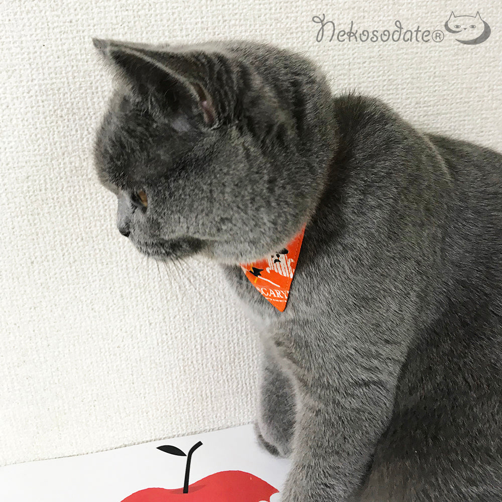 [Rakugaki Halloween pattern black] Serious collar, conspicuous bandana style / selectable adjuster cat collar