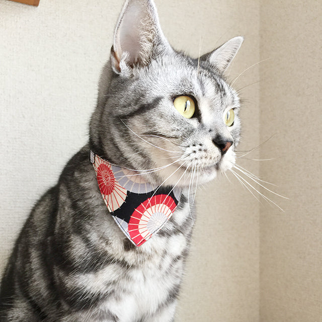 【番傘】猫用バンダナ風首輪／選べるバックル - ネコソダテ®日本で唯一のまじめな首輪®専門店